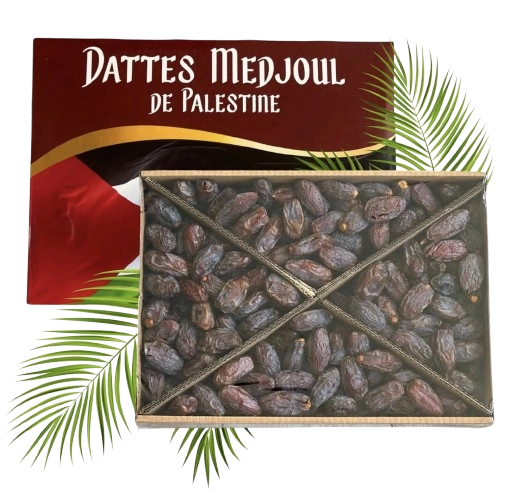 Hochwertige Medjool Datteln
